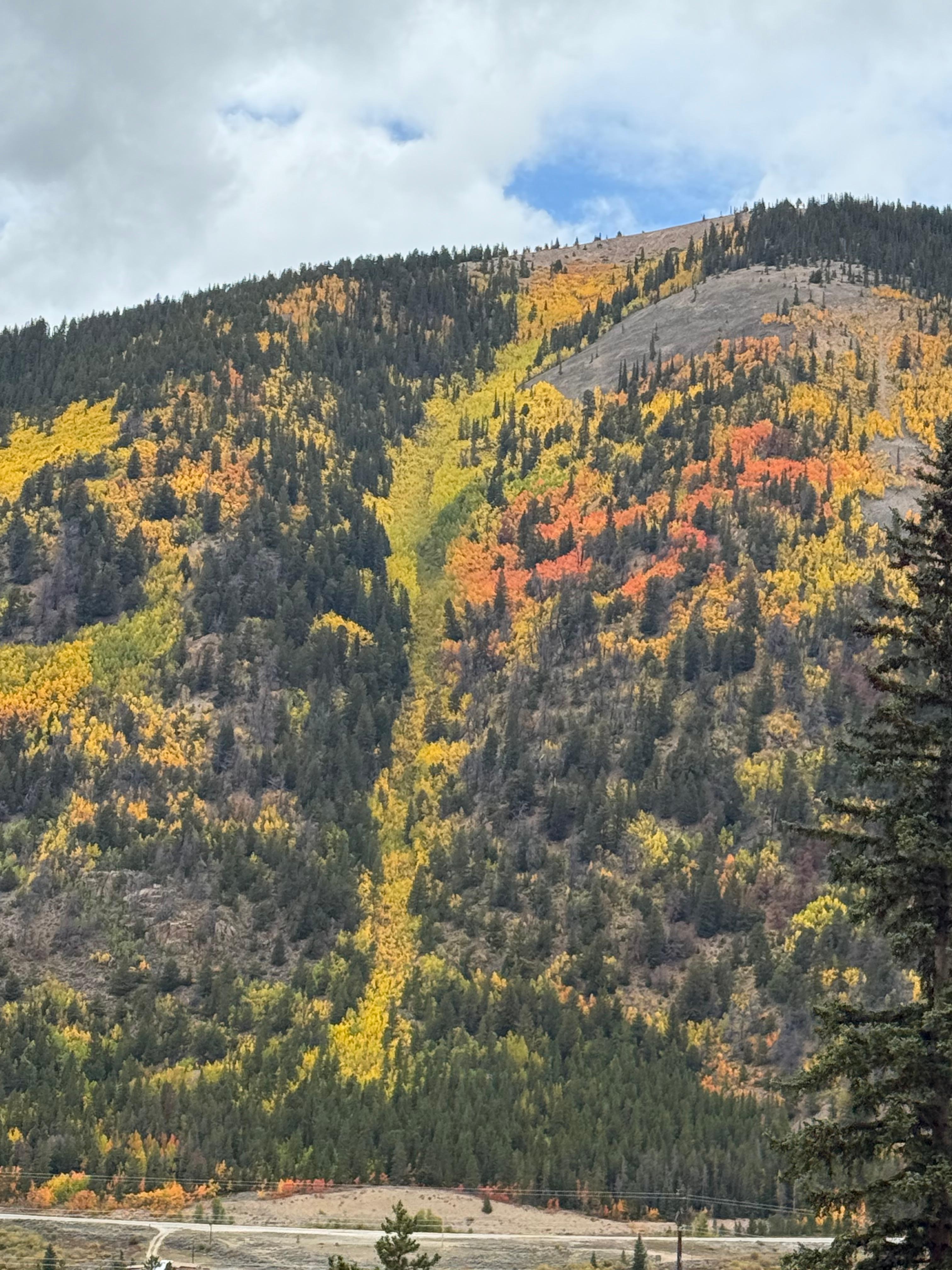 Views from the Leadville train 