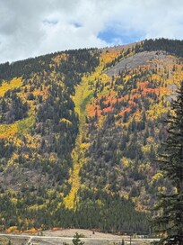 Views from the Leadville train