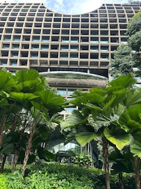 The building from the garden
