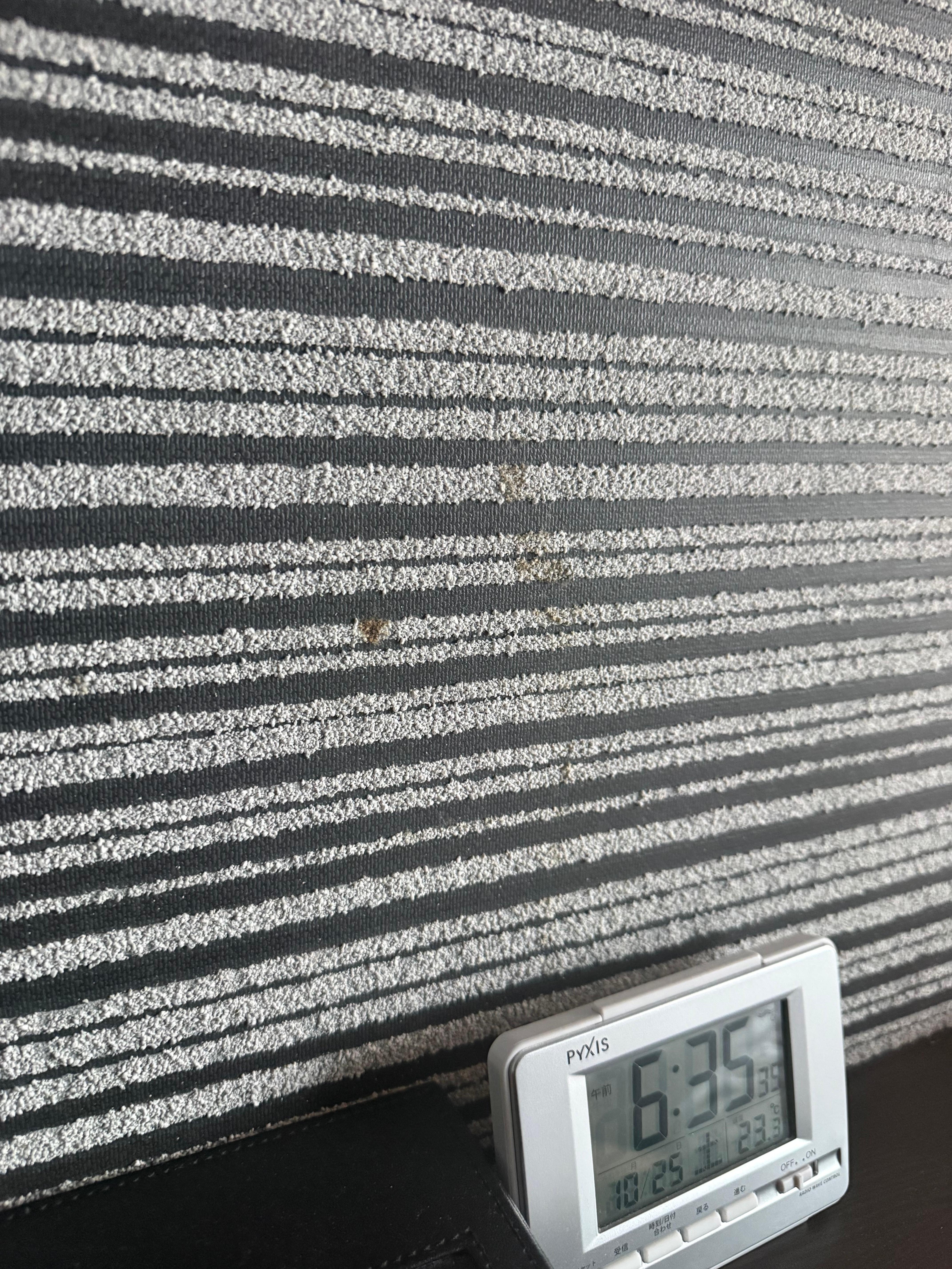 stains like this one everywhere on floor carpet and walls