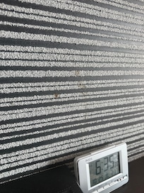 stains like this one everywhere on floor carpet and walls