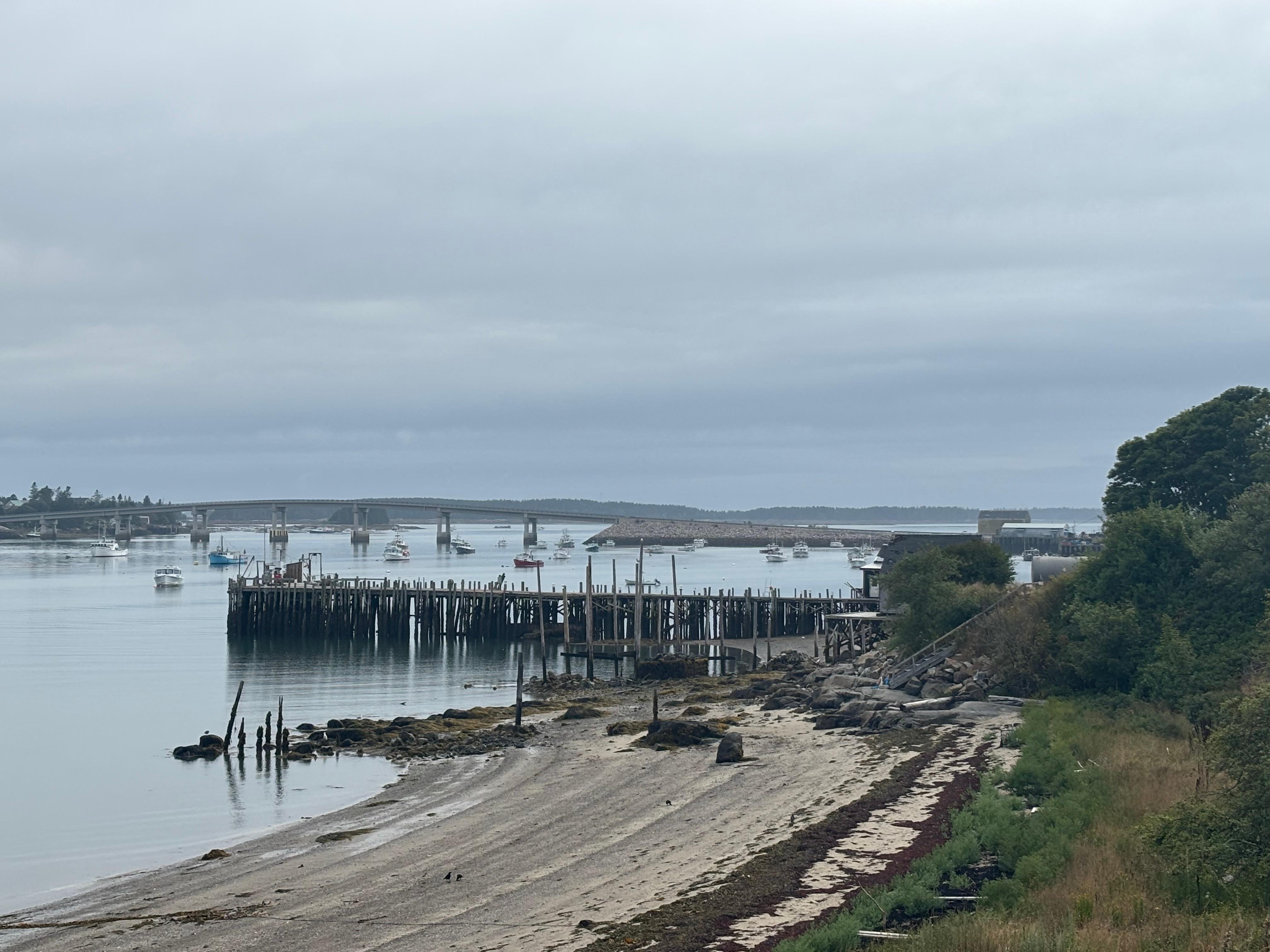 View from the porch. 