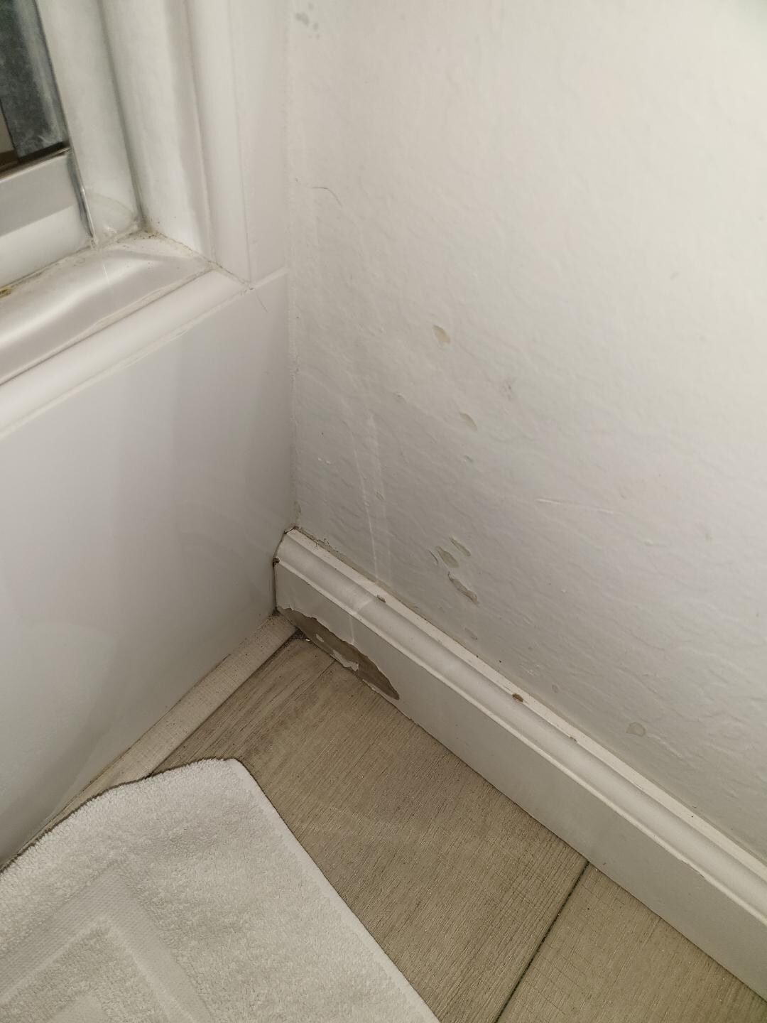 Bathroom wall & floor base