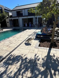 Även påfåglarna trivdes