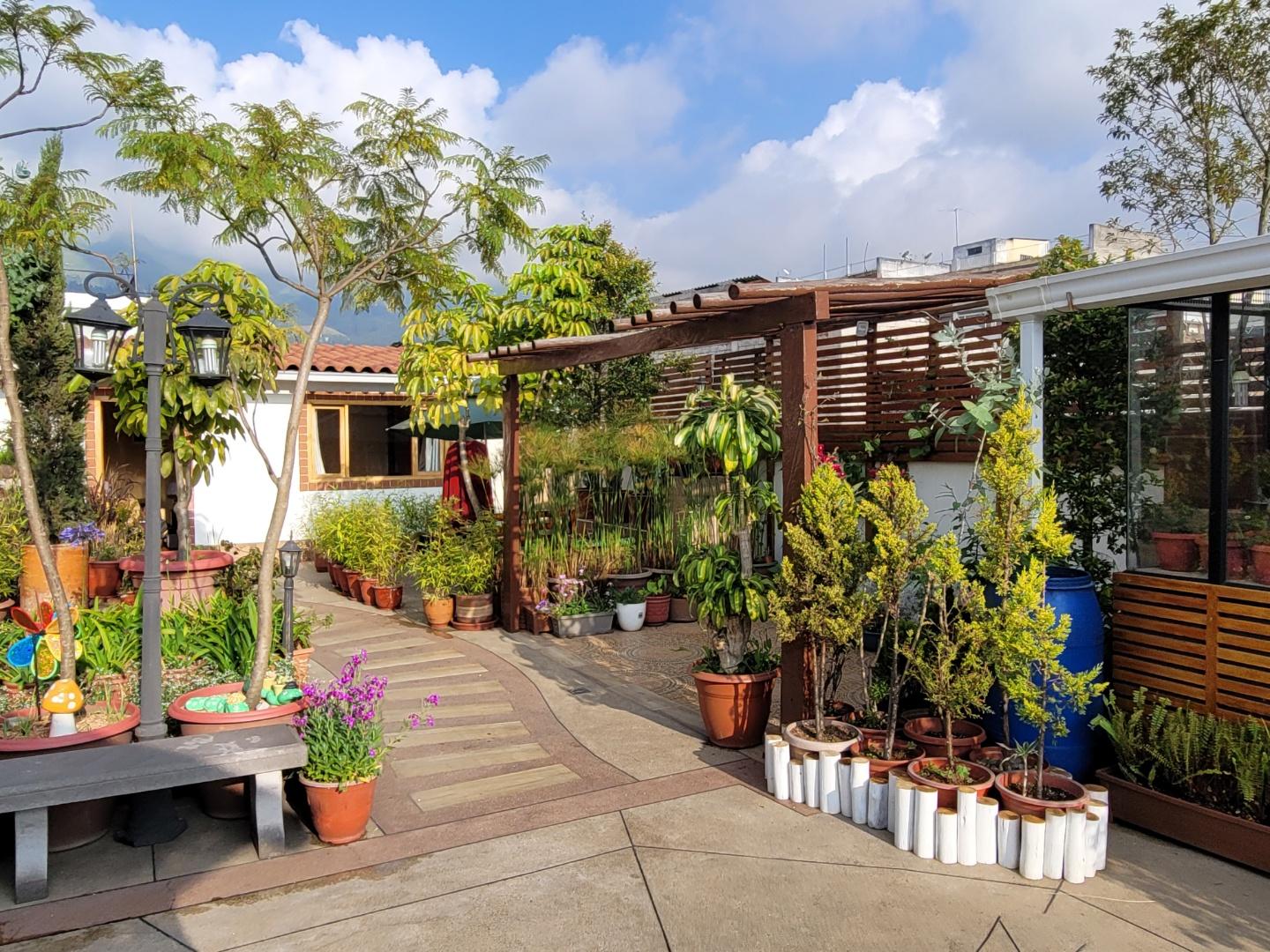 In front of my room. The terrace is like a garden with many flowerpots.