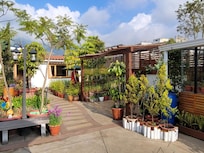 In front of my room. The terrace is like a garden with many flowerpots.