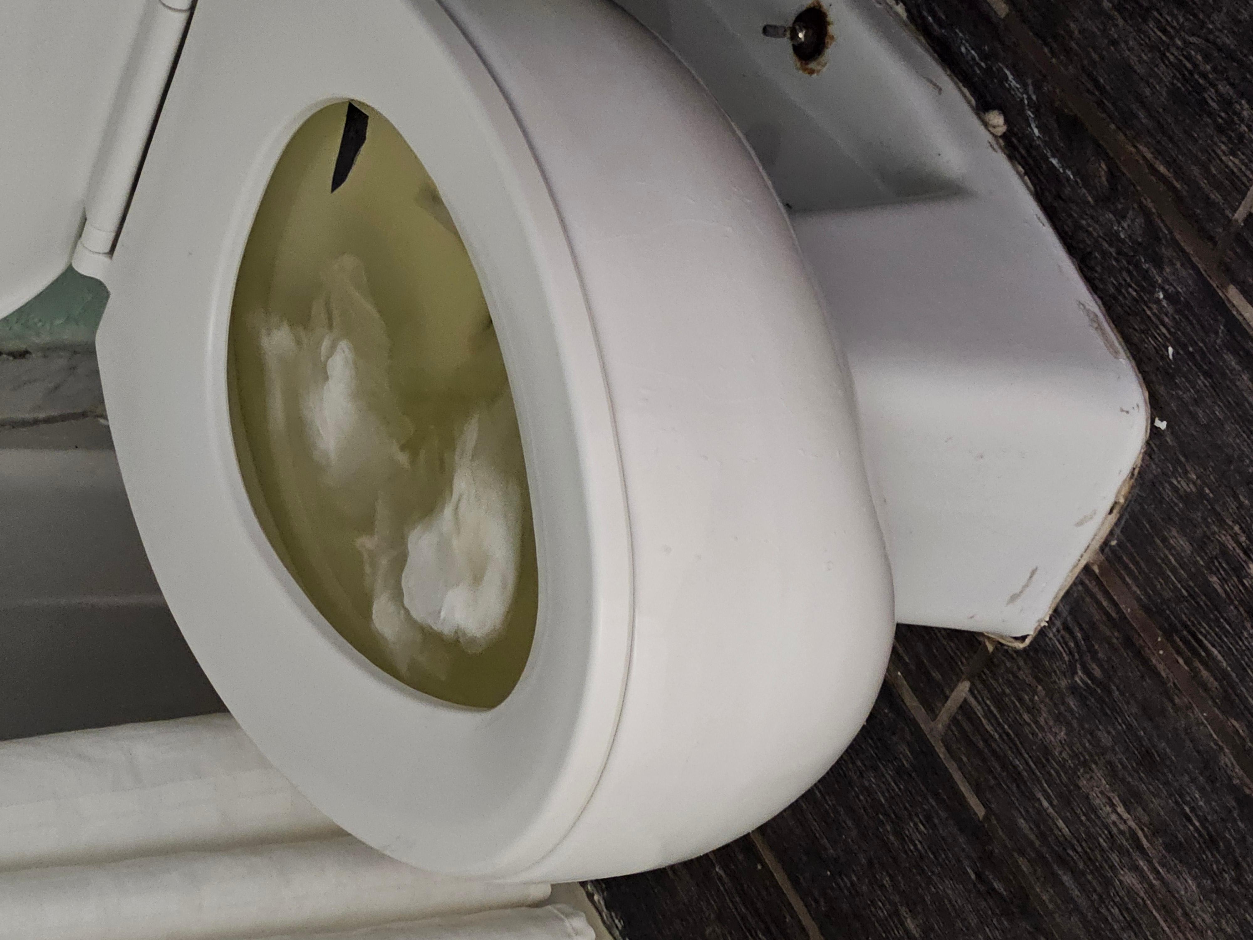 The state of our toilet everytime with was flushed