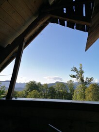 Ausblick