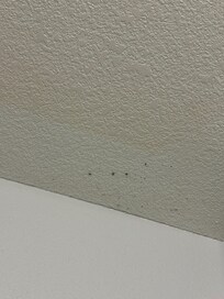 Bathroom ceiling