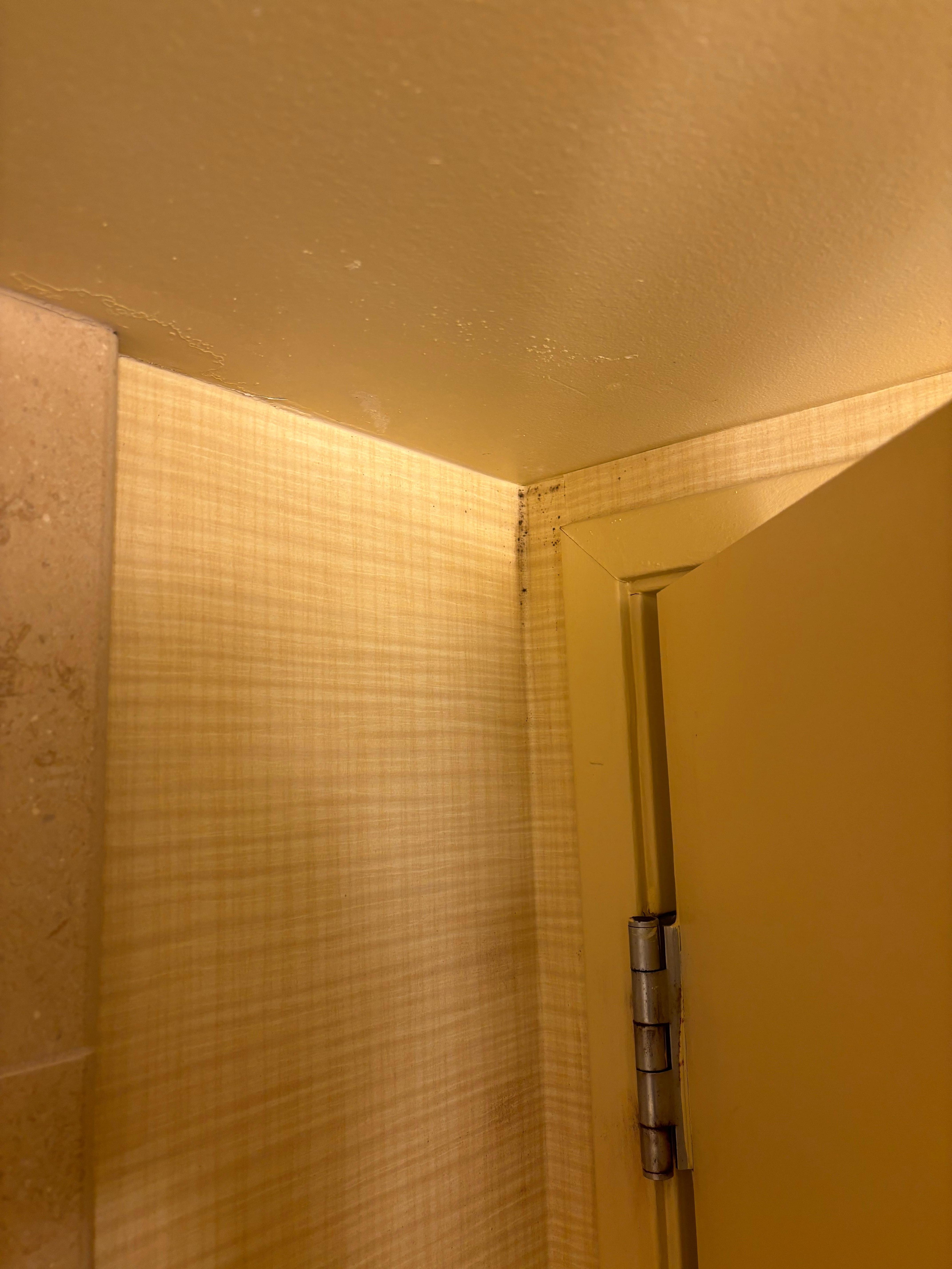 Mold in bathroom
