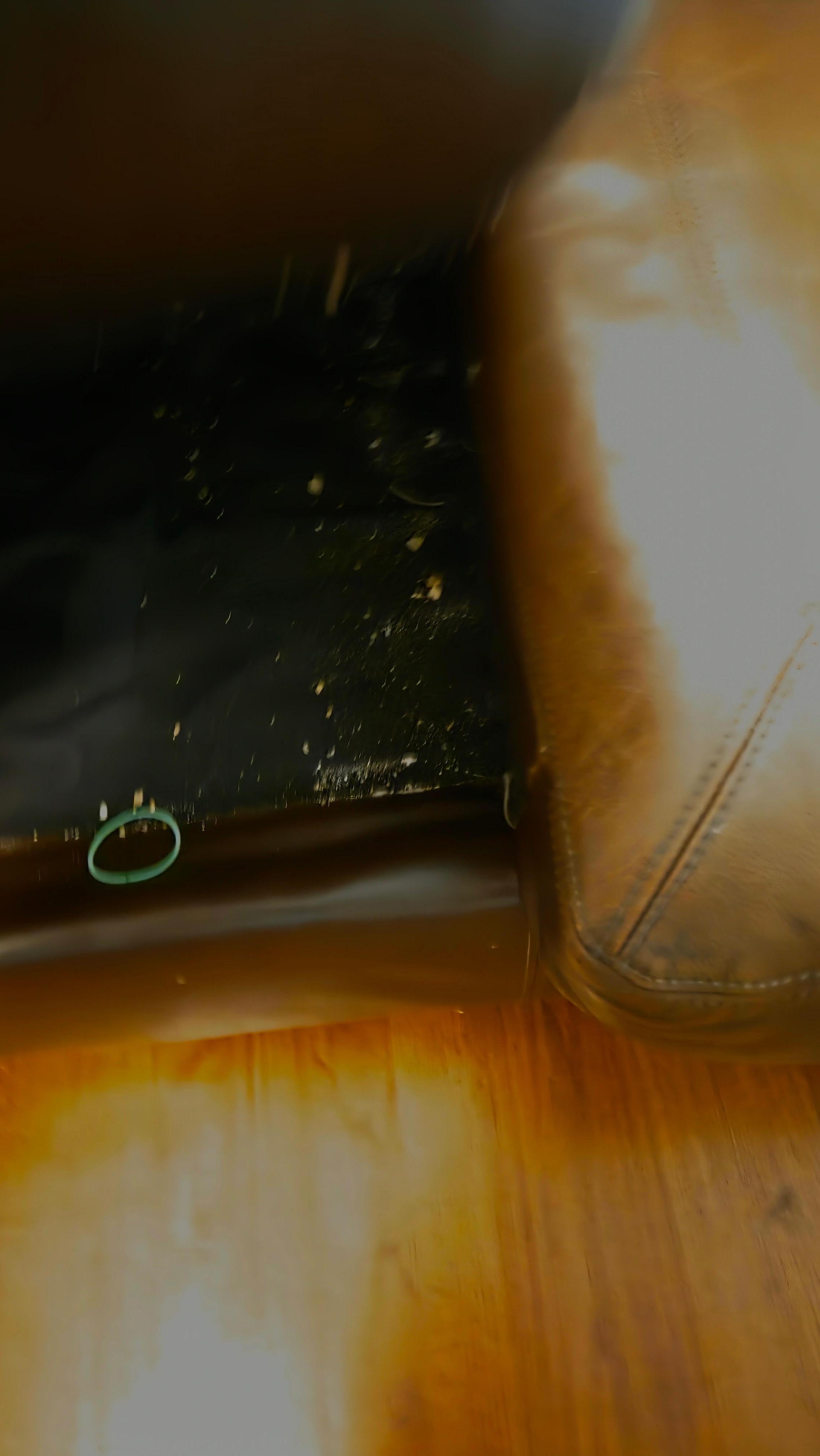 Under the couch cushions 