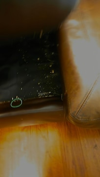 Under the couch cushions