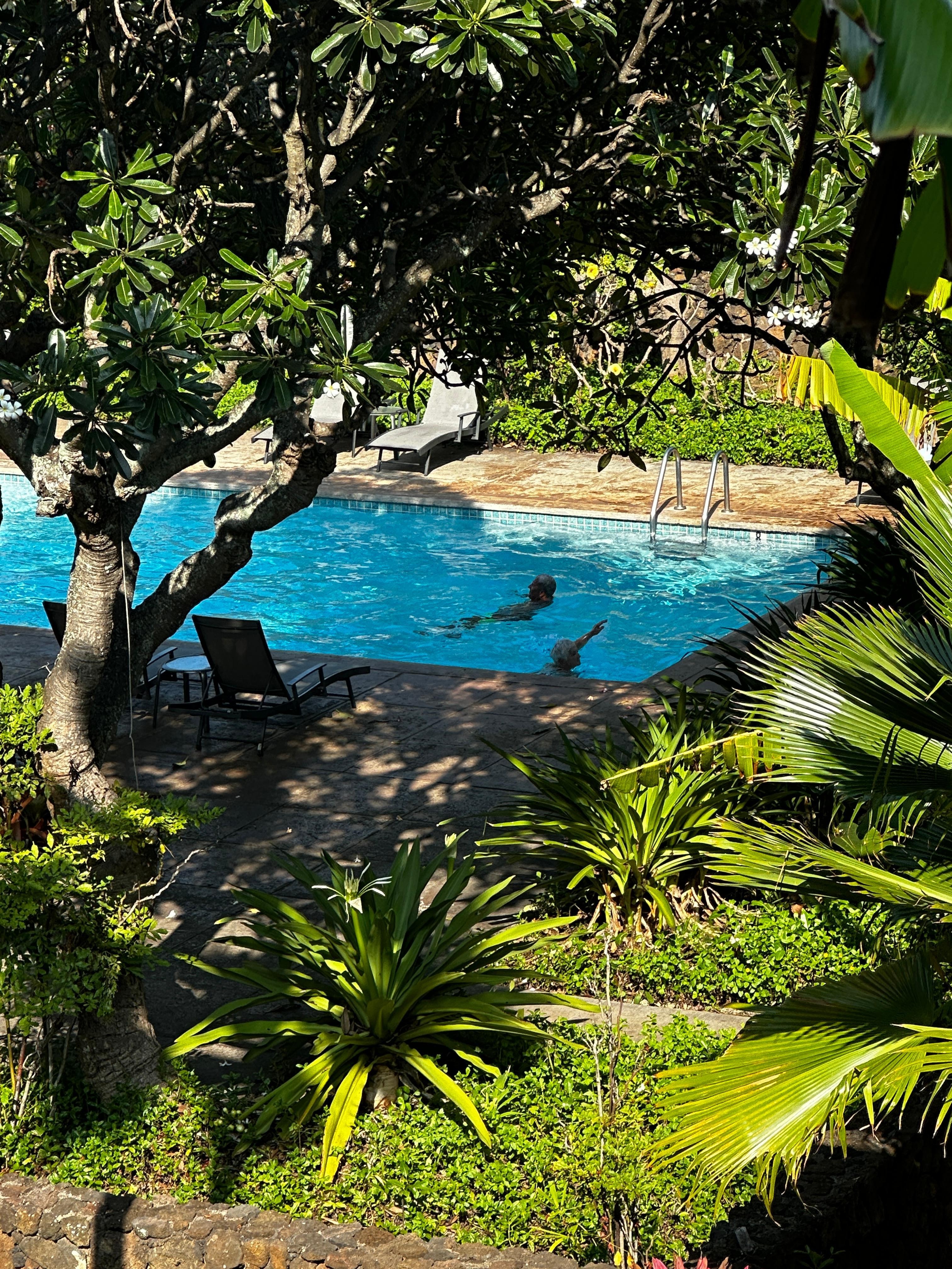 The pool as viewed from the lanai