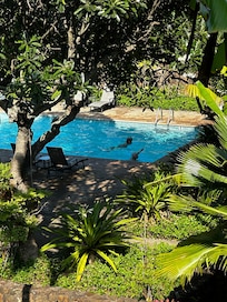 The pool as viewed from the lanai
