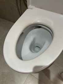 Dirty wc seat