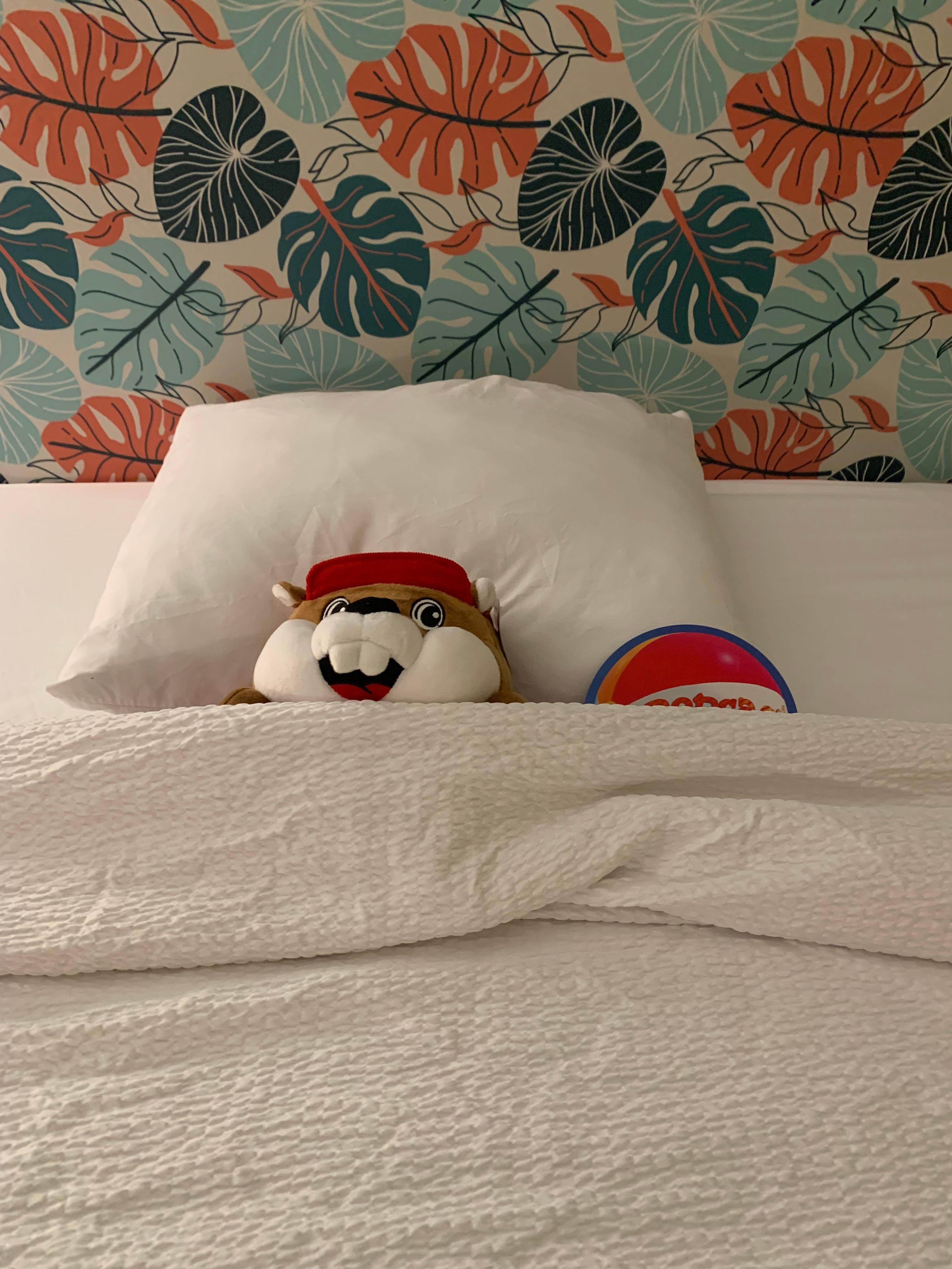 Stuffed animal friendly! 