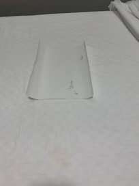 Hair and stains in bed