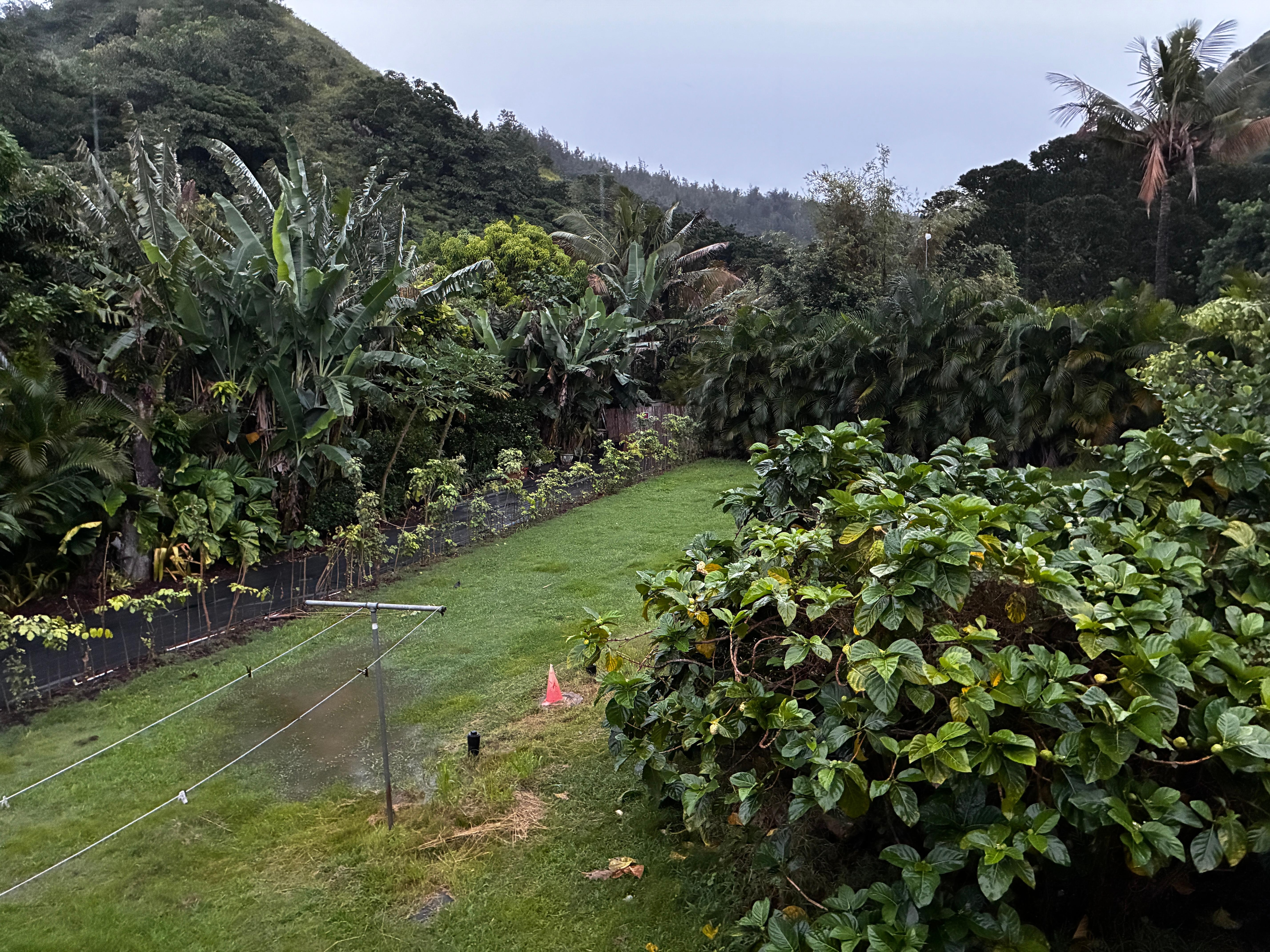 Out the back door. Nice deck, but was raining so we couldn’t enjoy. 
