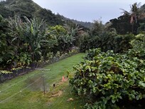 Out the back door. Nice deck, but was raining so we couldn’t enjoy.