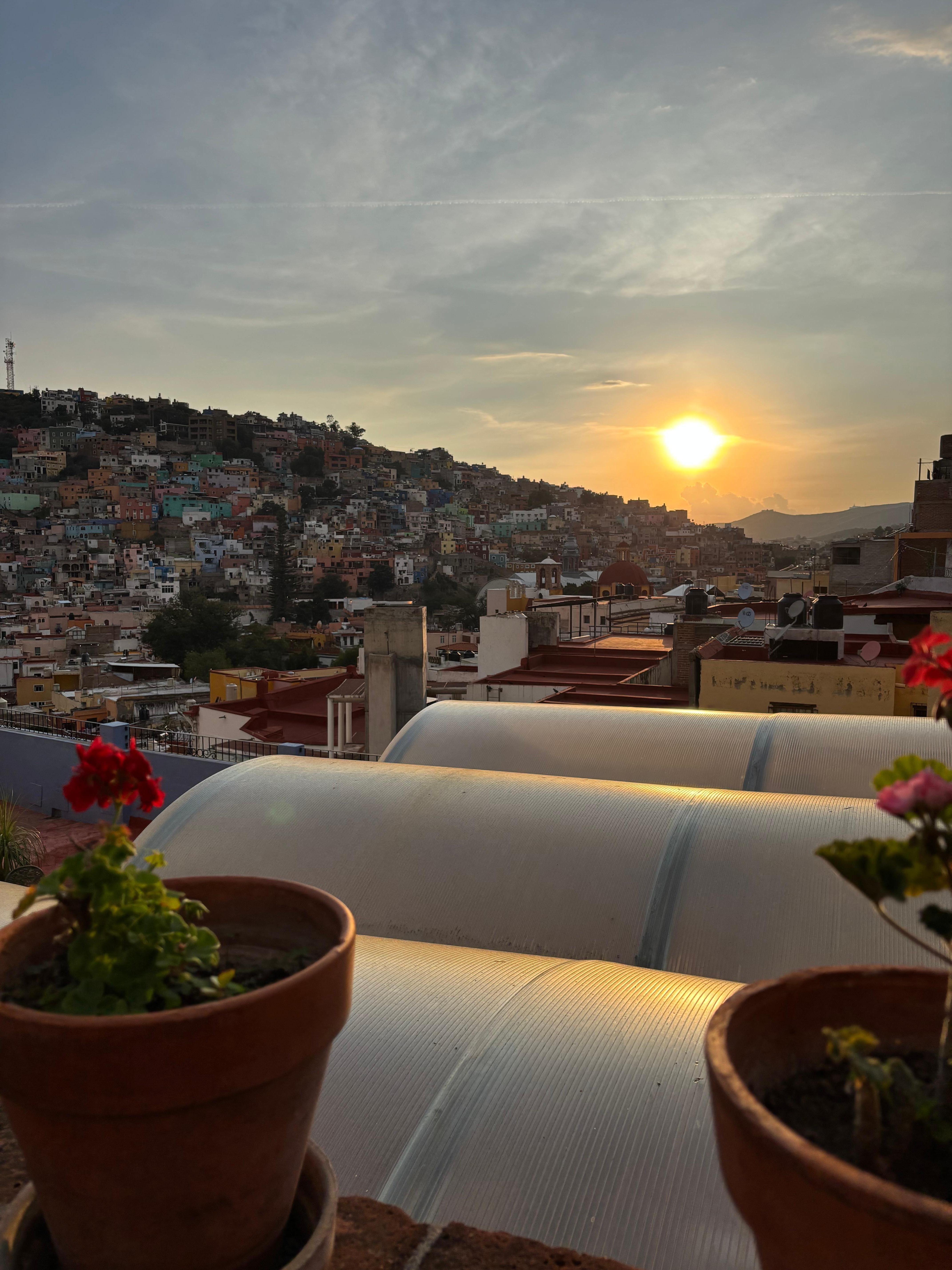 Views from the terrace and landscaping around the hotel were 10/10 ⭐️.  