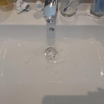 The sink