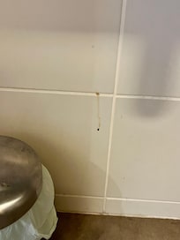 Blod pletter på væg på toilet. Samt støvet hyller med store støvklumper