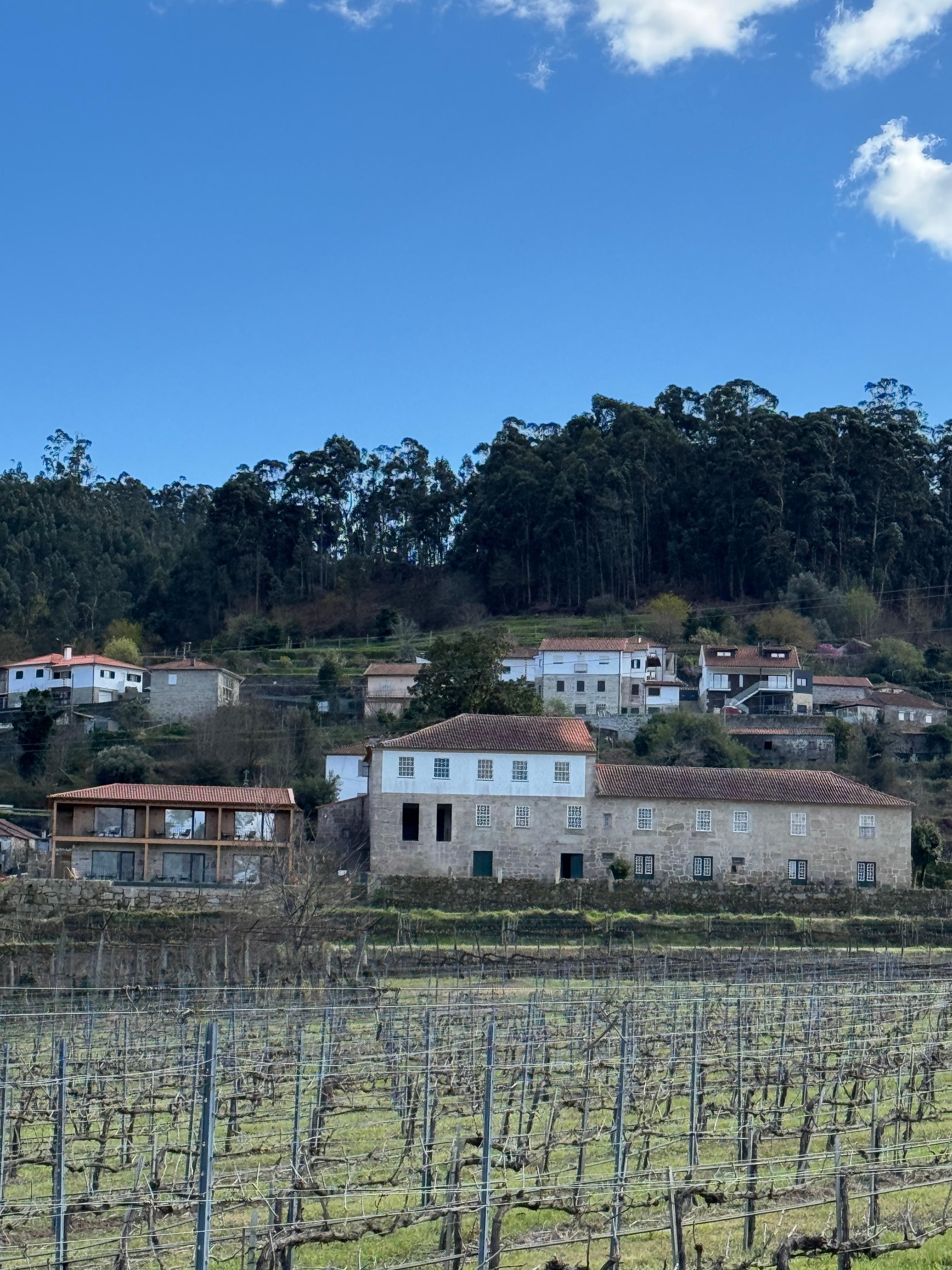 Vista dos vinhedos e da sede