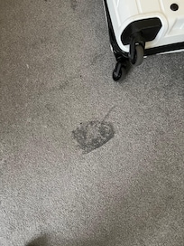 Iron marks on bedroom caroet