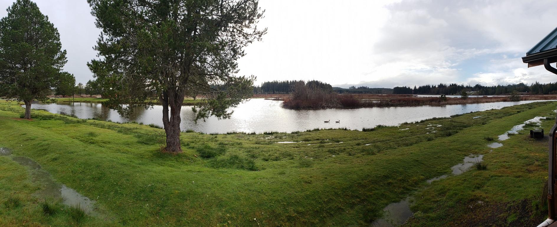 Panoramic from fire pit of cabin 83