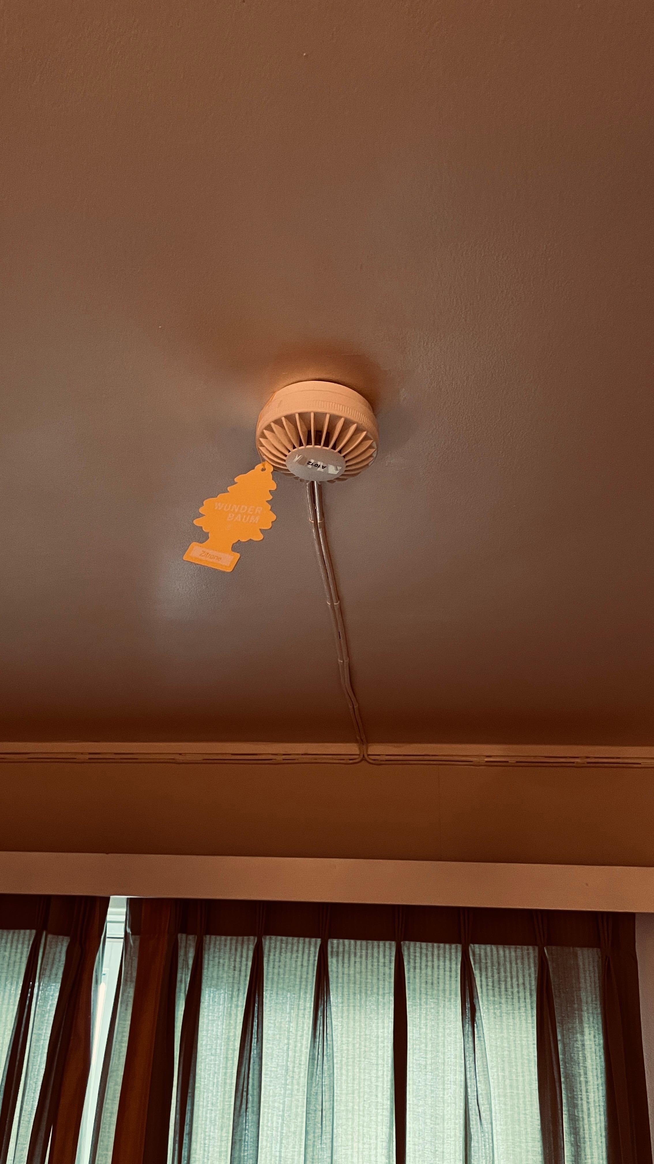 Wonderbaum i røykvarslern for å fjerne lukt.