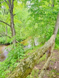 View of the river behind the cabin
