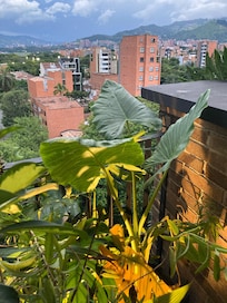 view from rooftop bar