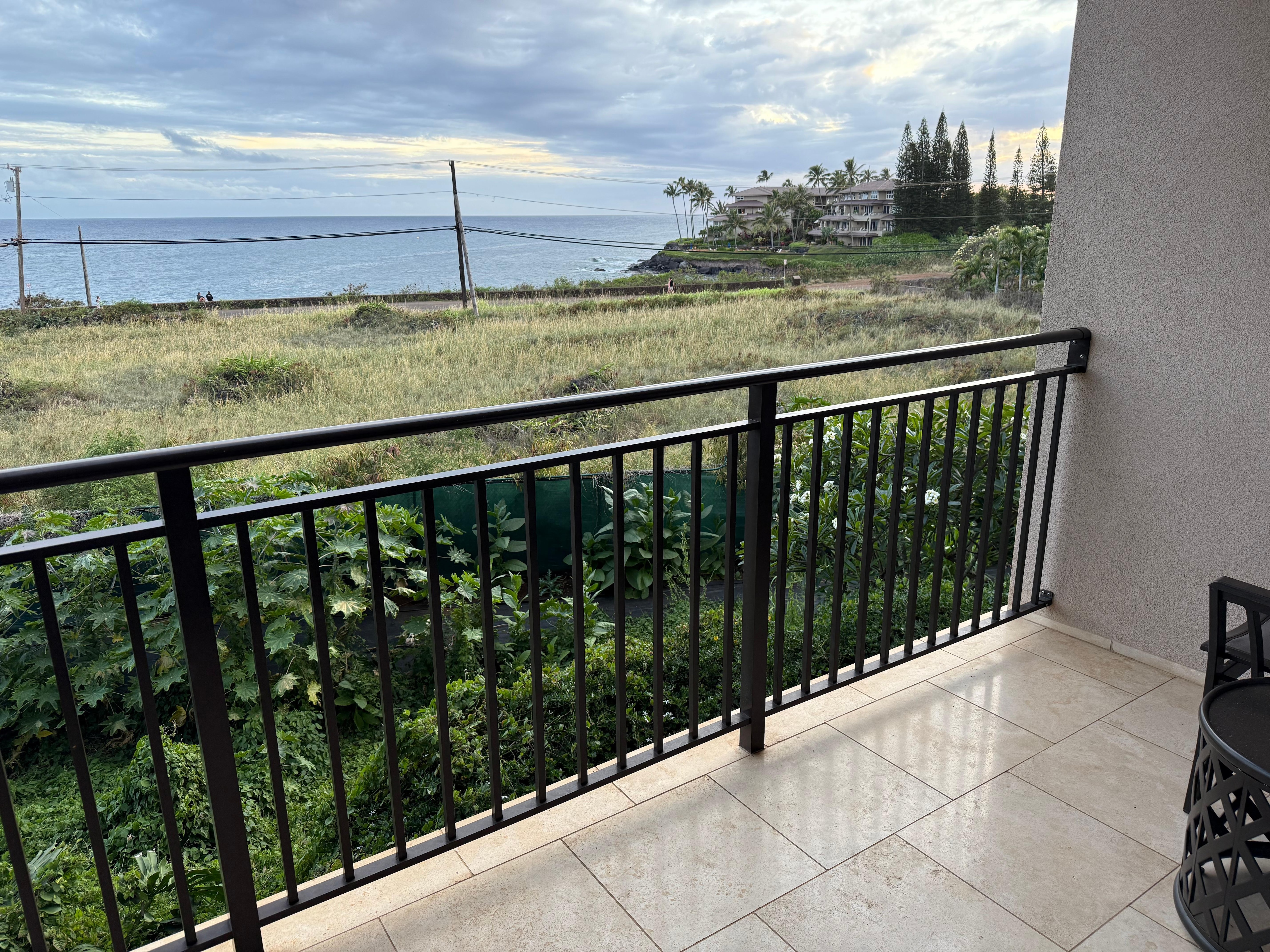 "Coastline view"
