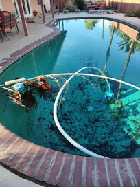 Pool upon our arrival