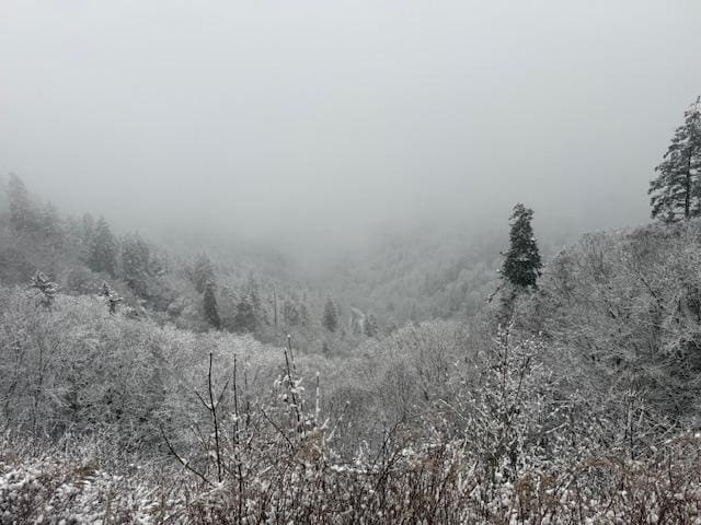 Scenic stop in the Great Smoky Mountain National Park