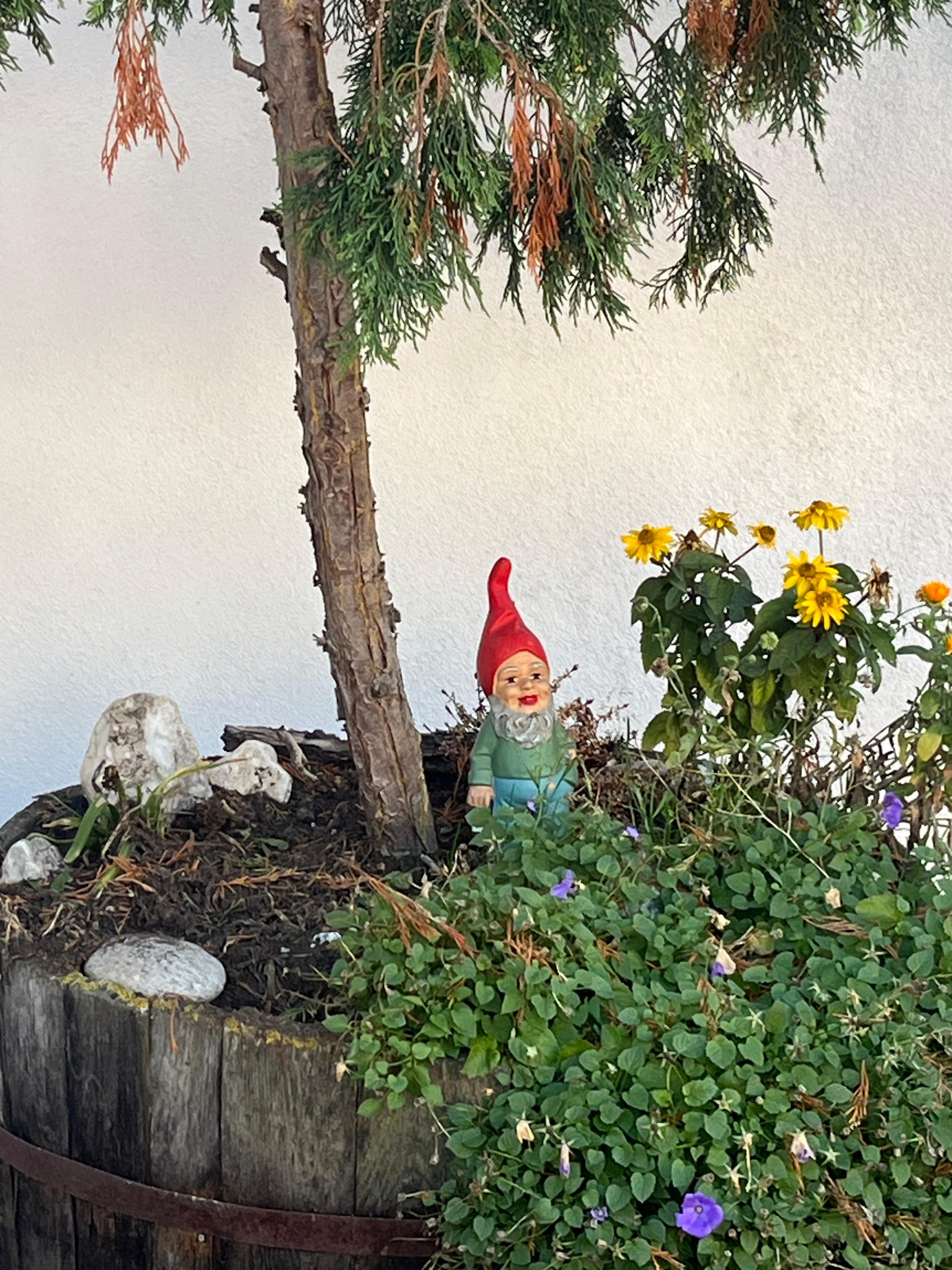 A gnome to greet you near the front door