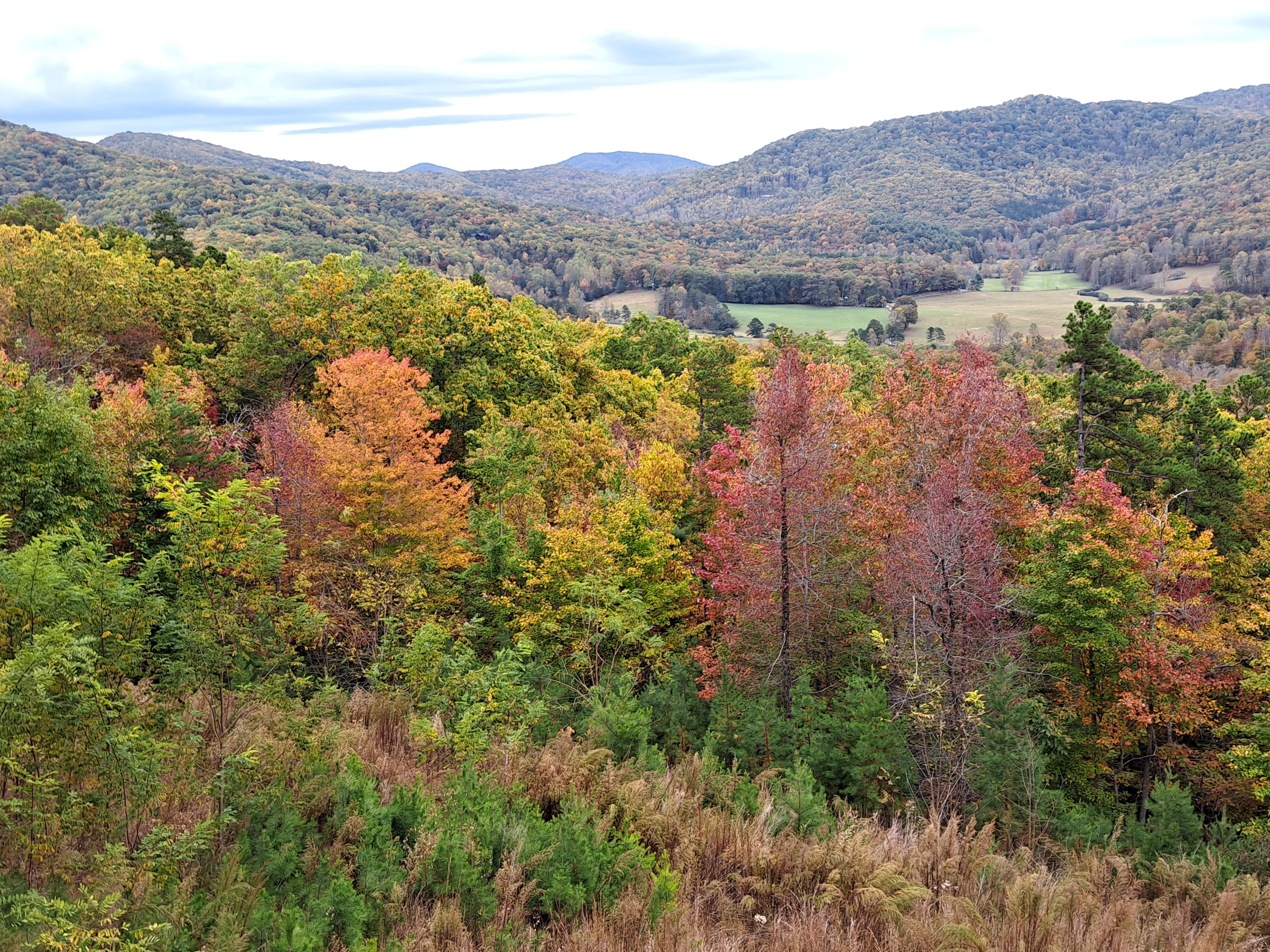 Such a view, a full 180 degrees