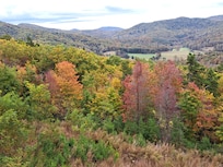 Such a view, a full 180 degrees