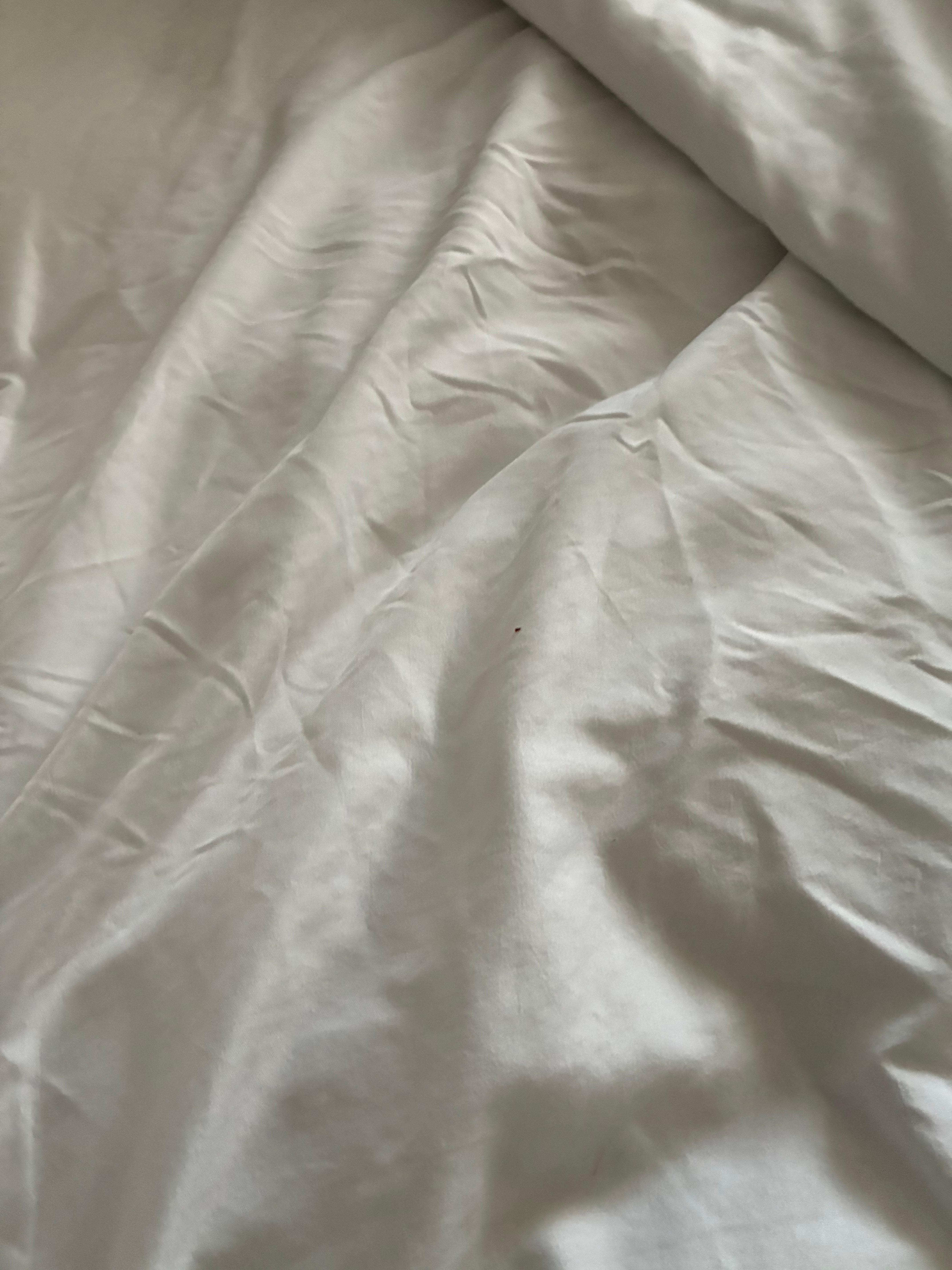 Black dirt little spots all over bed, couch.  