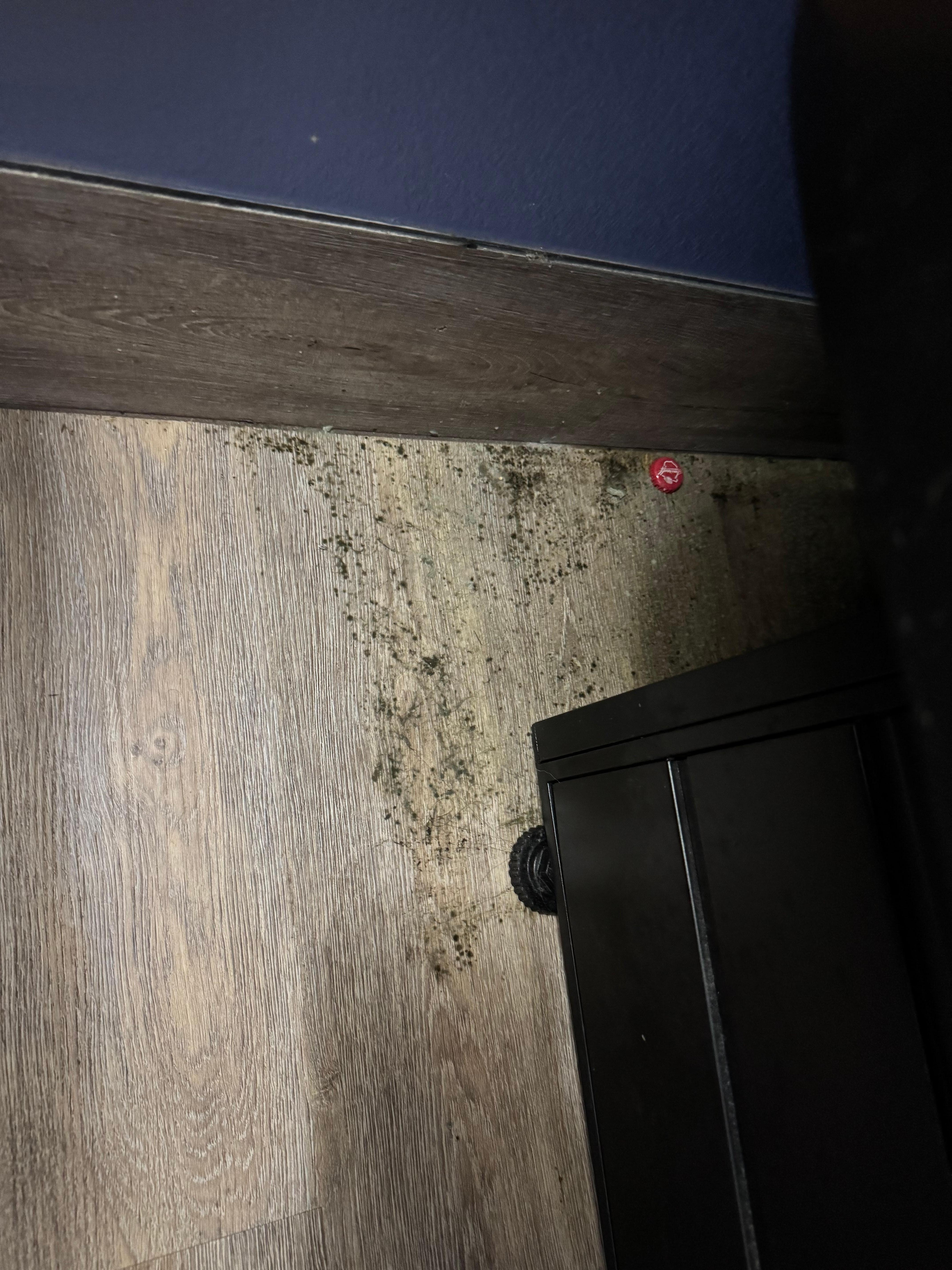 This was behind the bed