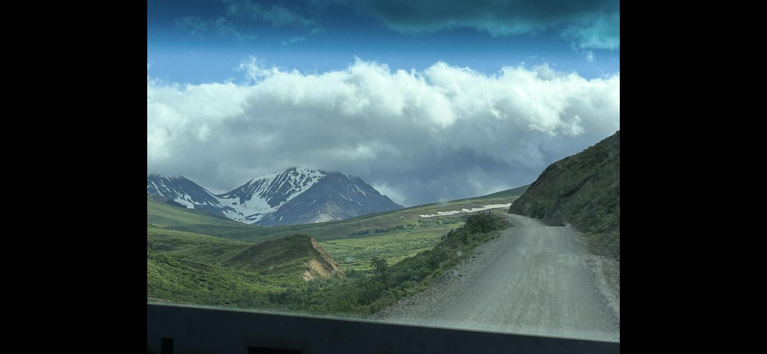 Denali bus tour