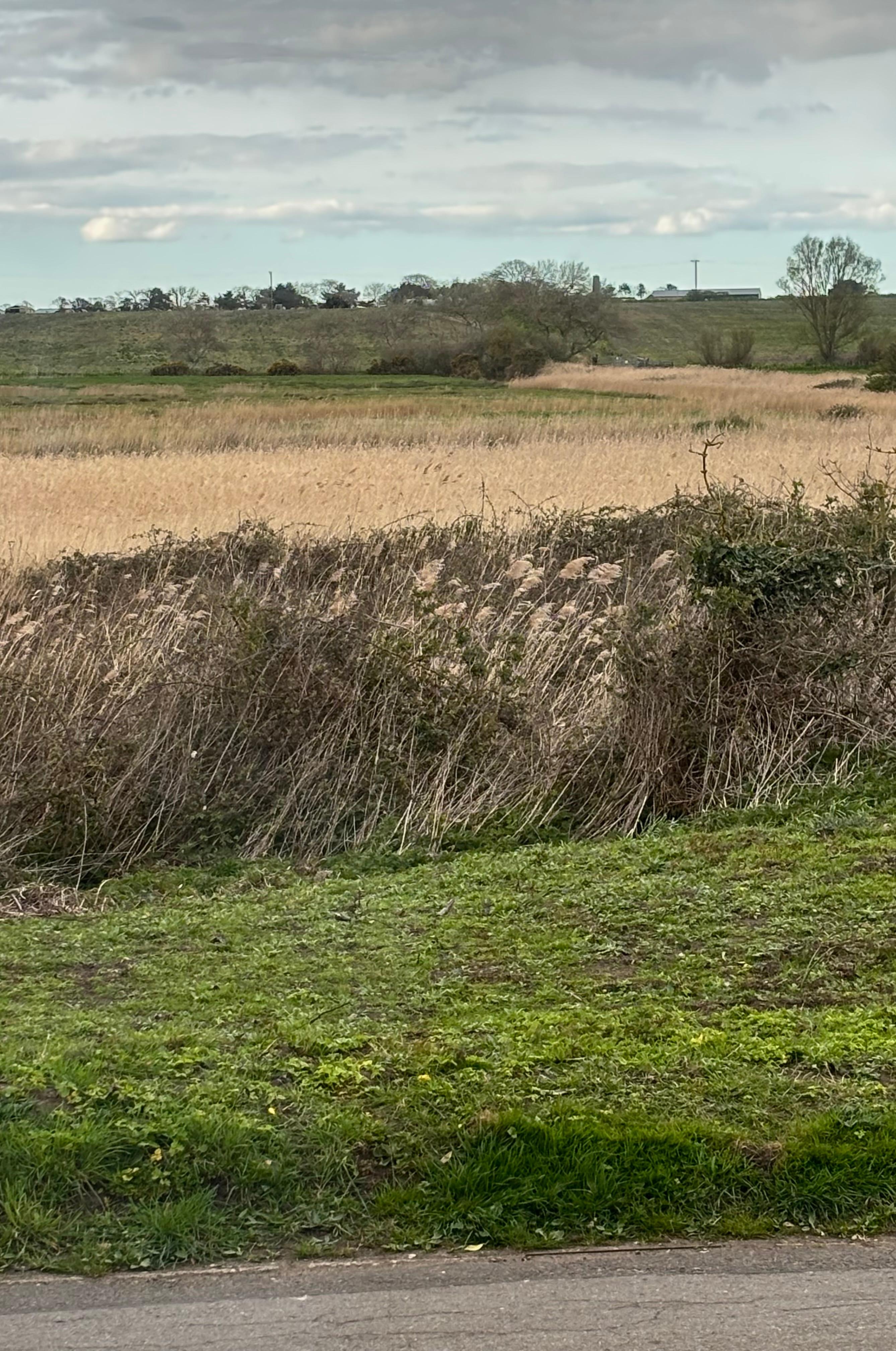 Stunning view from the lounge window 