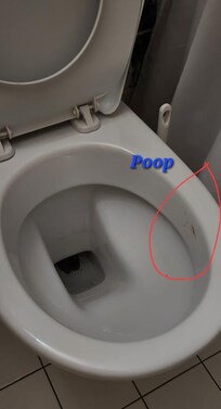 Dirty toilet