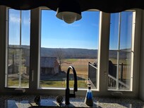 From the Kitchen sink