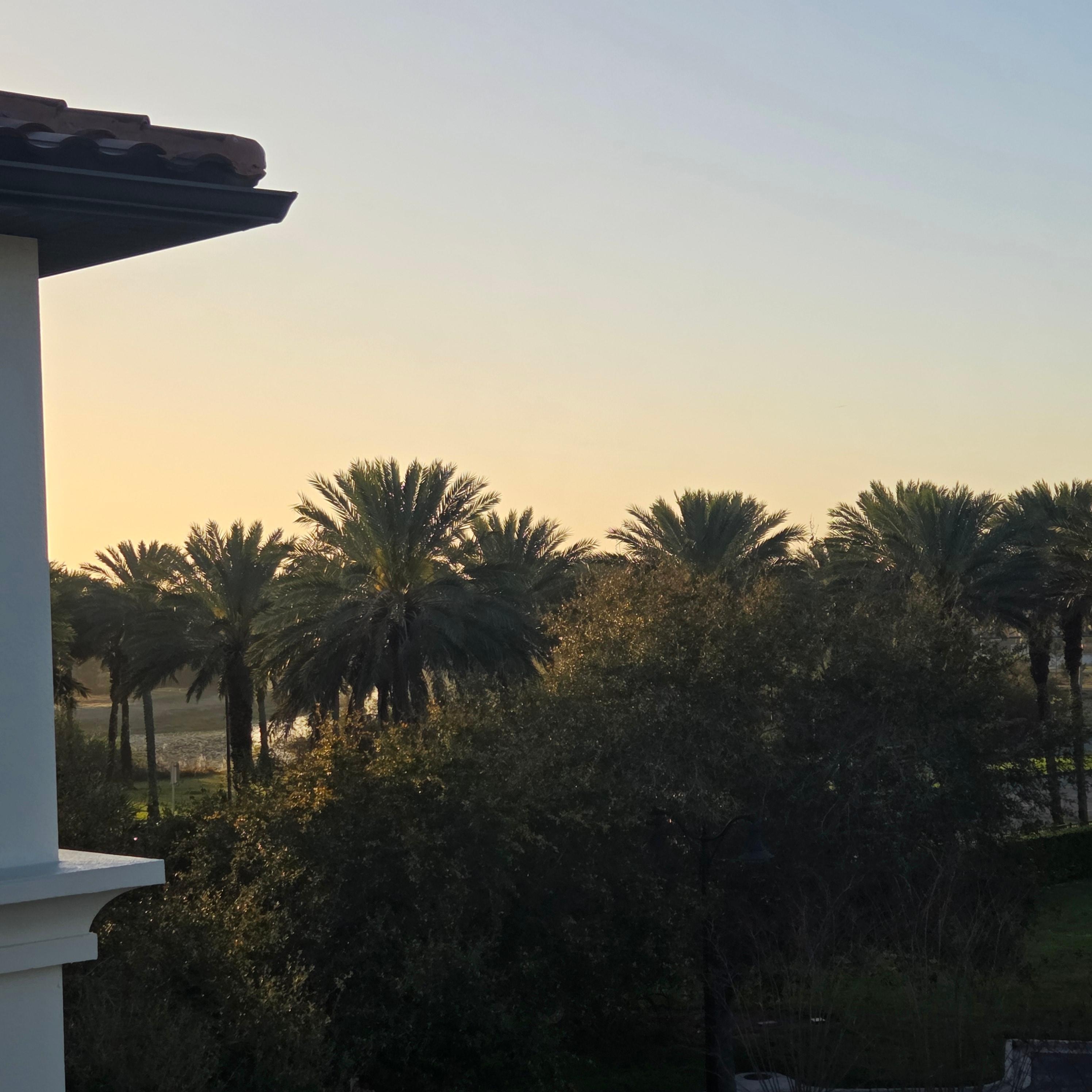 Good morning Florida!