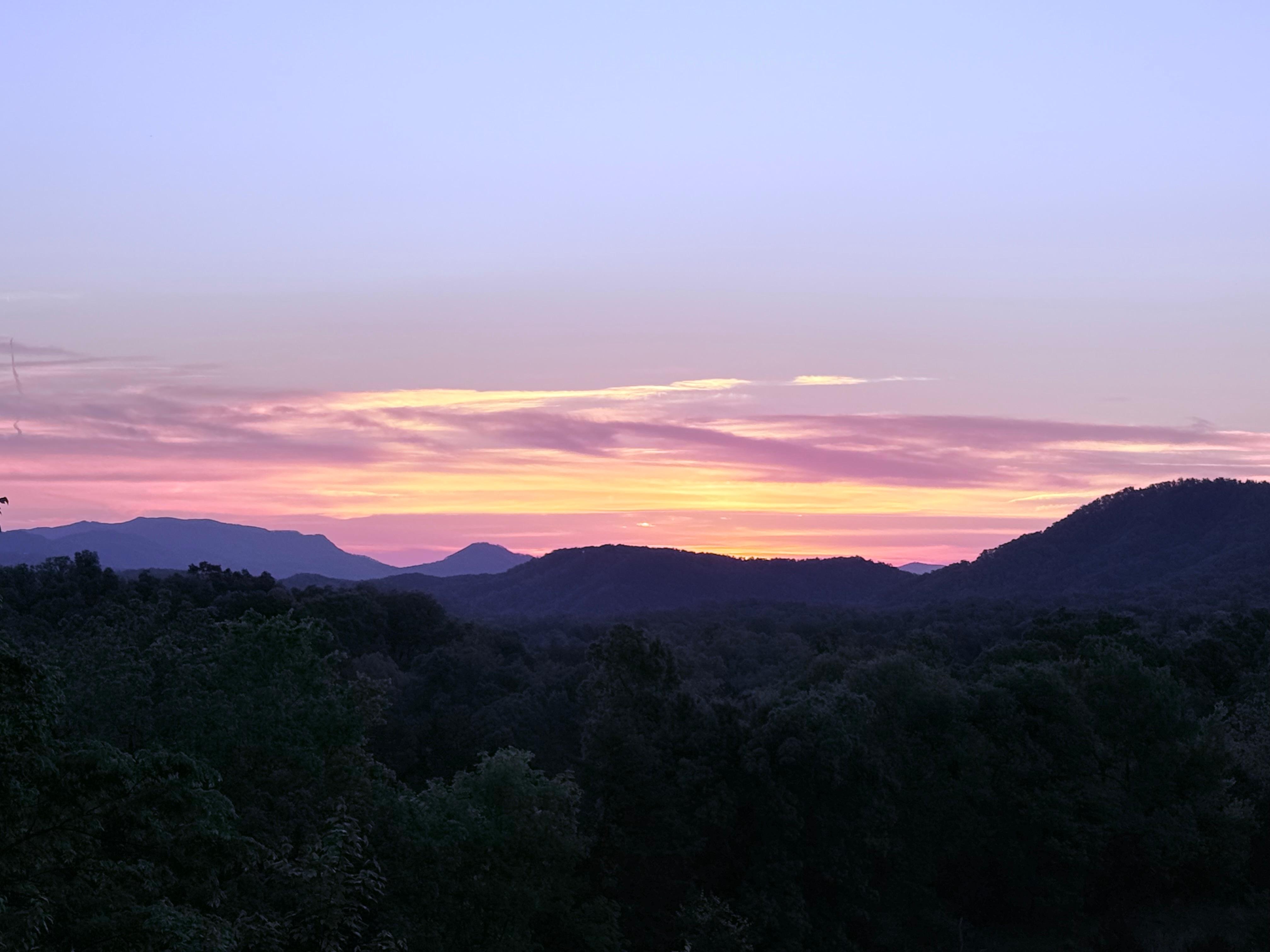 View from the back porch 