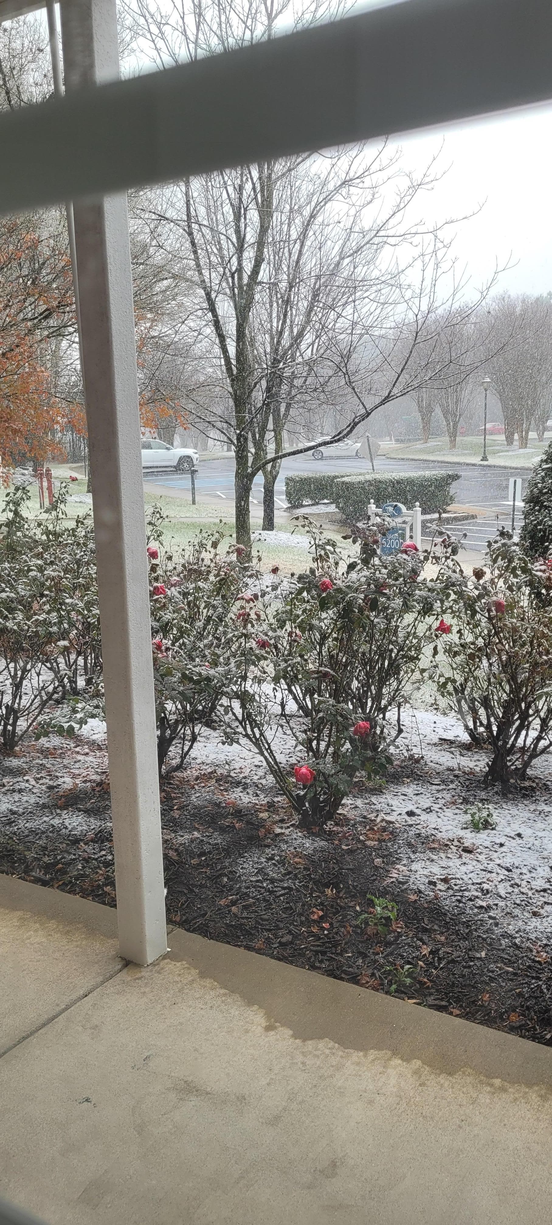 View from our ground level room. 