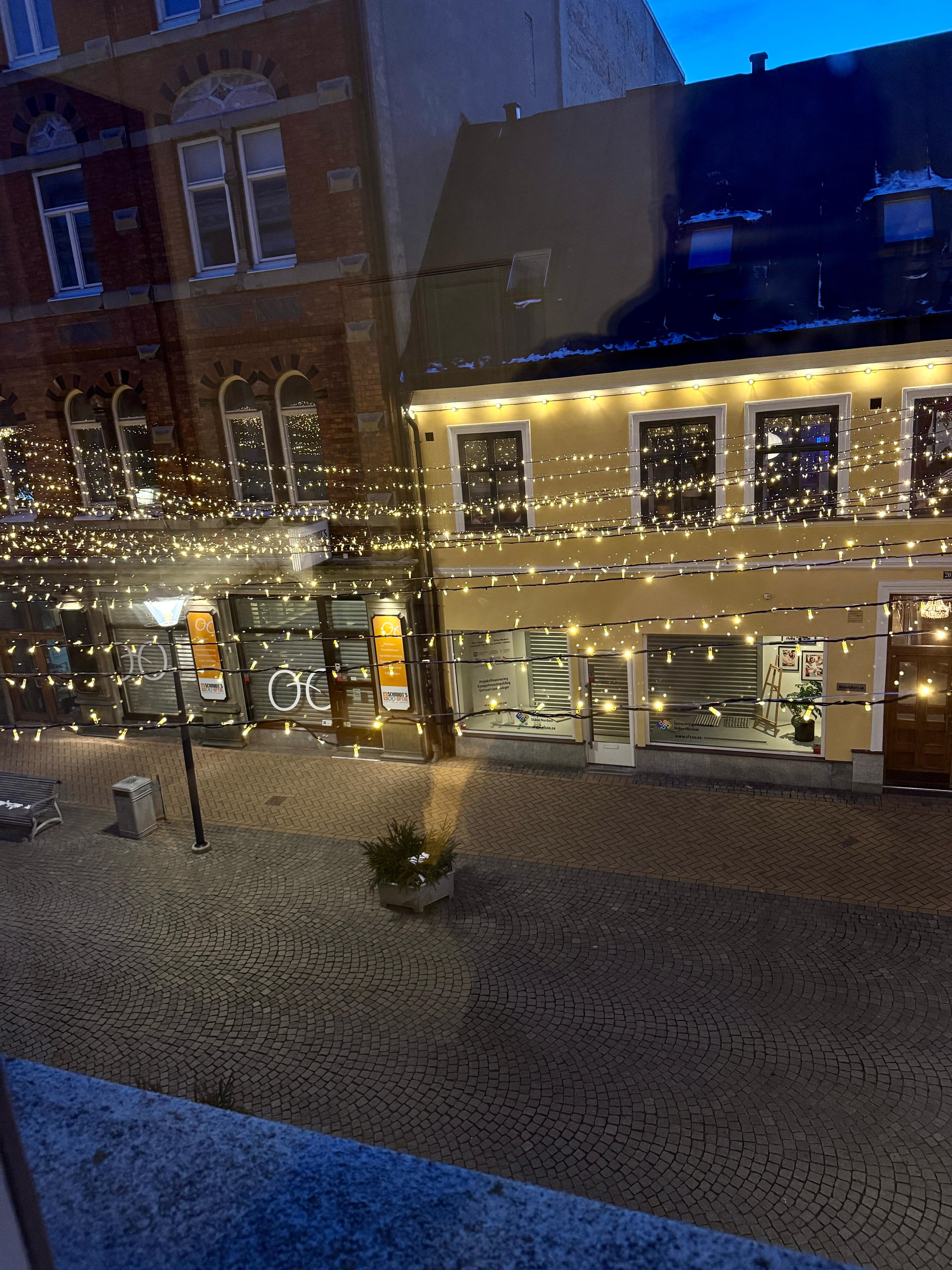 Utsikten från rummet