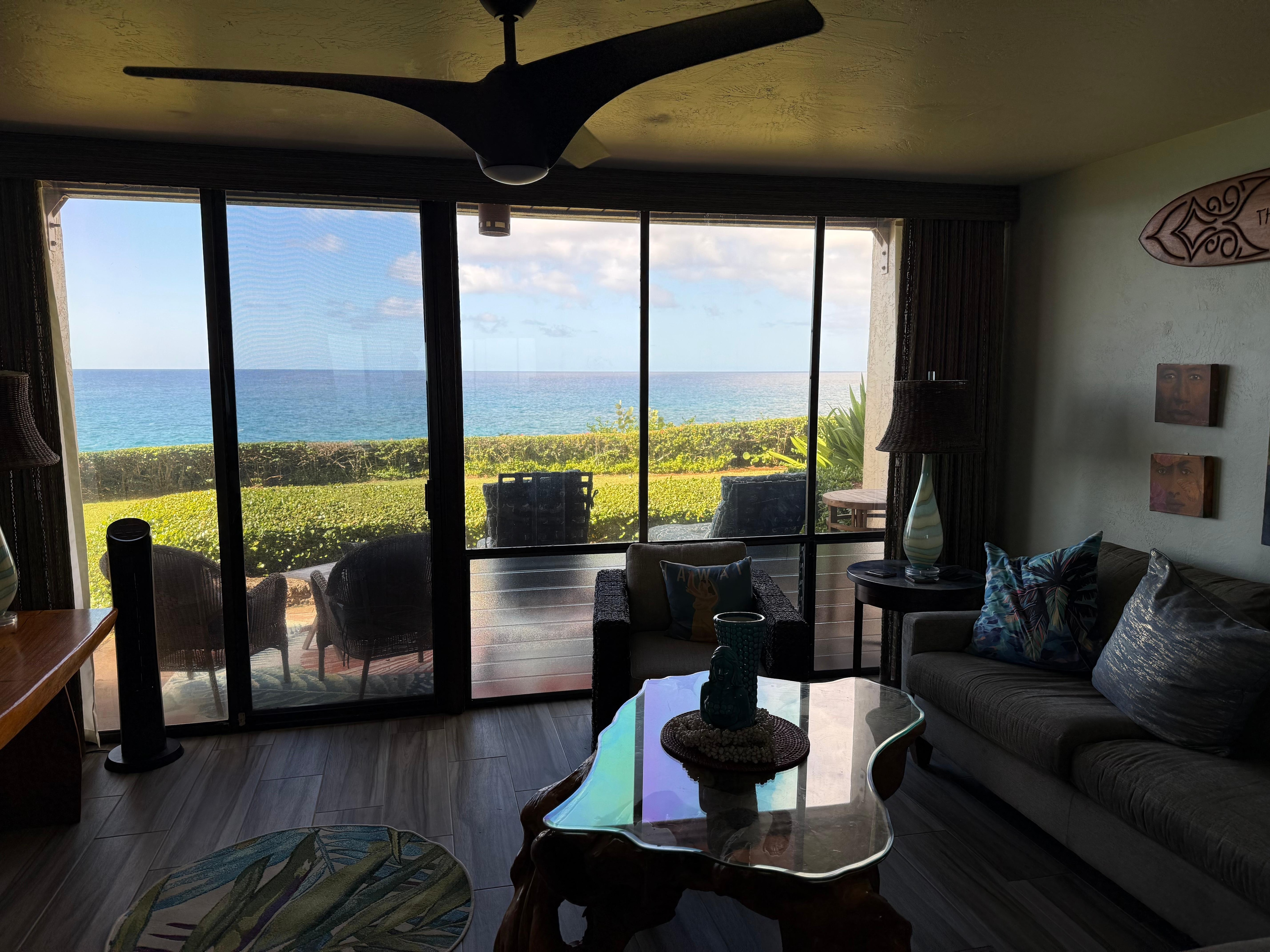 View from the living room