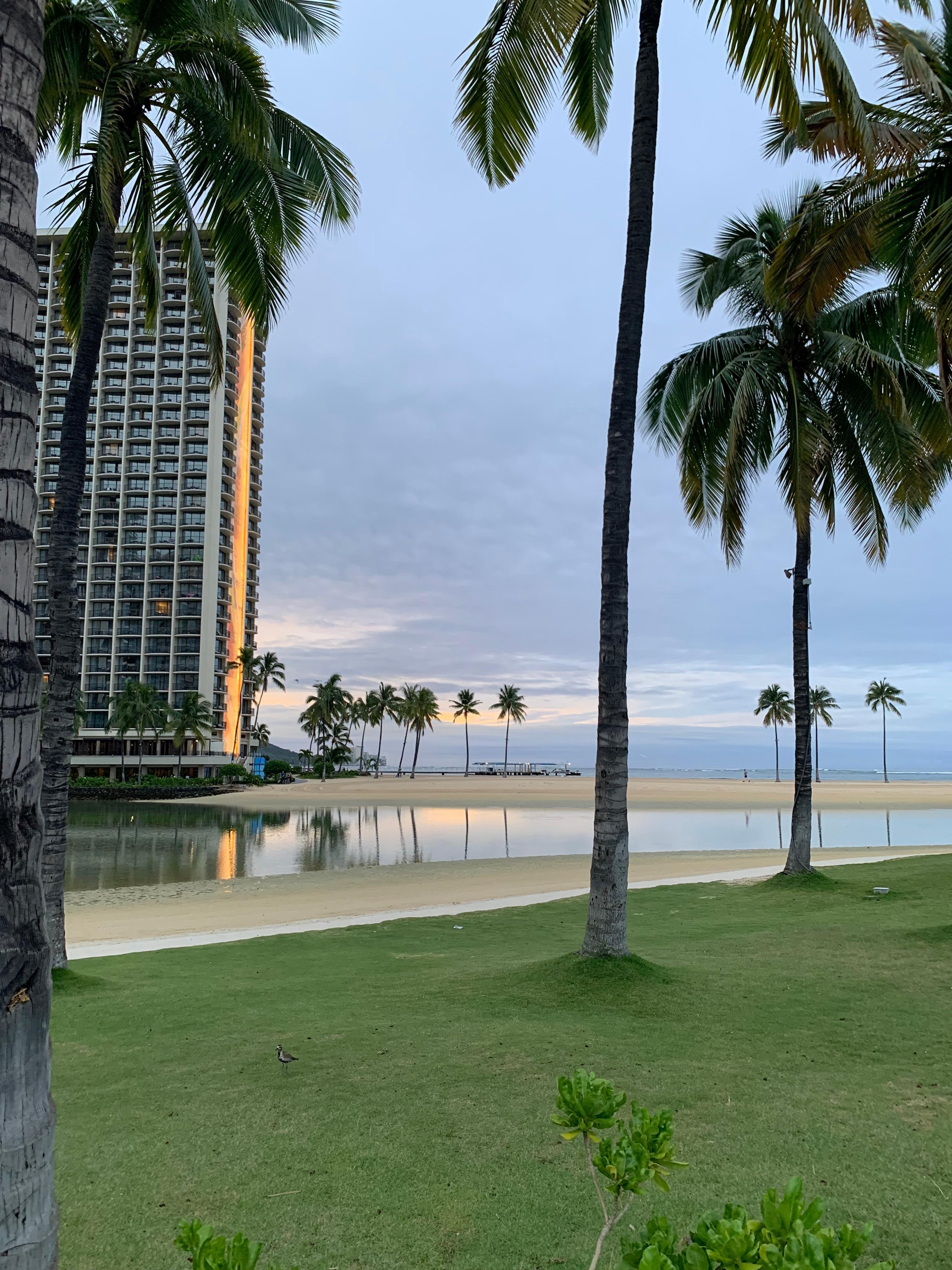 The lagoon with Hilton Hawaiian Village. 